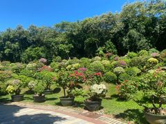 -三亚蜈支洲岛旅游区