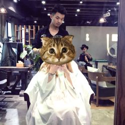 -V-STAR威斯达•高级私人定制