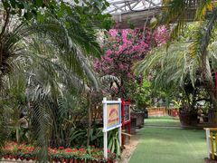 -呀路古热带植物园