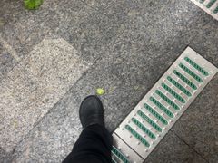 -荣基四海一家·家常菜·海鲜大排档(新安店)