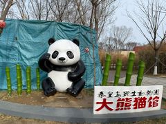 -秦皇岛野生动物园