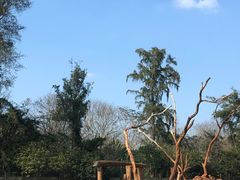 -海南热带野生动植物园