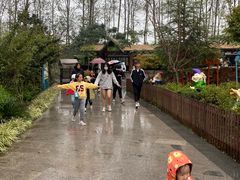 -合肥滨湖国家森林公园