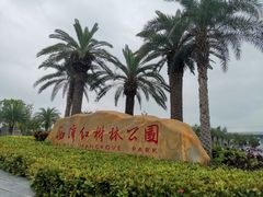 -宝安西湾红树林湿地公园