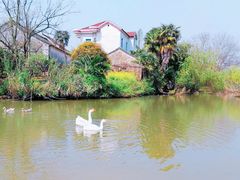 -金牛山大酒店(南北湖风景区店)