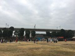 -秀丽东方
