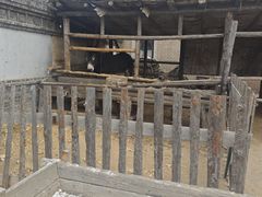 -清风小镇闯关东影视基地