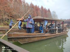 -溱湖国家湿地公园