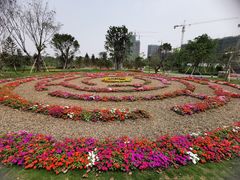-王借岗森林公园