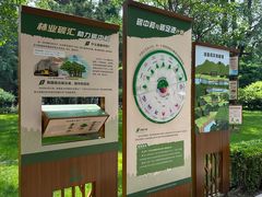 -团结湖公园