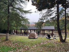 -堤角公园