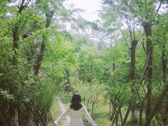 -白鹭湾湿地公园