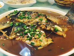红烧野生鲫鱼-鑫福楼农家菜