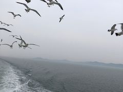 -长岛南北长山旅游景区