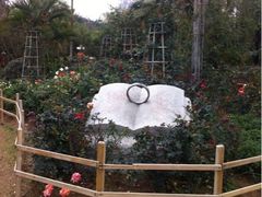 iphone_upload_pic-人民公园(罗湖区)