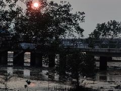 -福田红树林生态公园