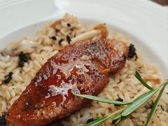 黑松露鹅肝饭-沏点Trattoria意大利餐厅(新街口店)