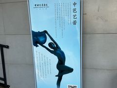 -中央芭蕾舞团·中芭艺蕾(酒仙桥明星校区)