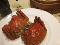 -王宝和酒家(黄浦店)