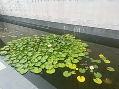 -中华孝德园