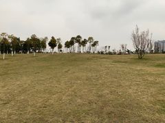 -眉山湿地公园(东坡区)