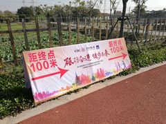 -上海长兴岛郊野公园