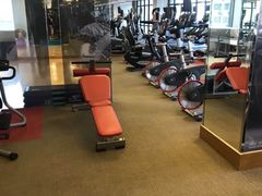 -健身专家Wellness Experts