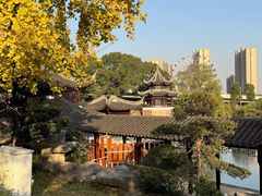 -八大山人梅湖景区