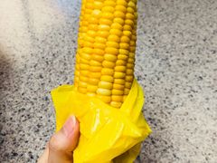 -加州迪士尼乐园