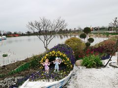 -荷兰花海