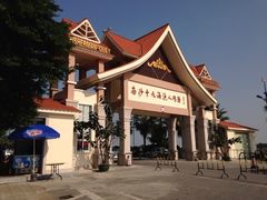 iphone_upload_pic-大湾区中央湿地公园-十九涌
