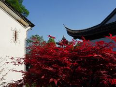 -芥子园