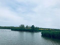 -西青郊野公园