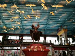 -鹅城