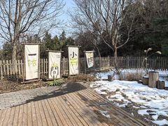 -北京鹫峰国家森林公园