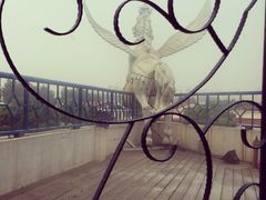 iphone_upload_pic-西郊5号·Maggie 5