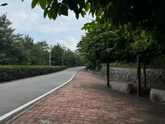 -火炉山森林公园