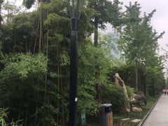 -唐城墙遗址公园