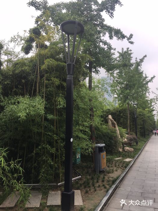 唐城墙遗址公园图片