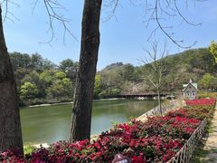 -木兰云雾山