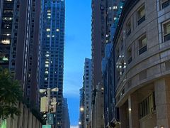 -柠檬车露(卖草地店)