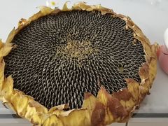 -西宁福茵长乐国际大酒店