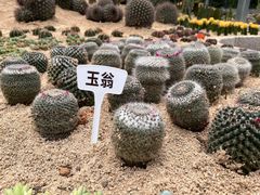 -广东茂名森林公园