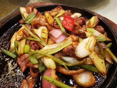 -张记旺角食街(动物园店)