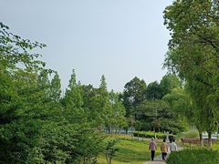 -白塘生态植物园