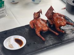 -侨美食家·41年地道粤菜(珠江新城店)