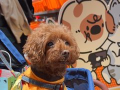 -MARSMART PETS火星宠物超市(1733店)