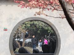 -何园