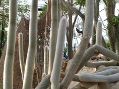 -北京植物园-展览温室