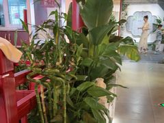 -秦月轩·陕西家乡菜(阜成路·五棵松店)